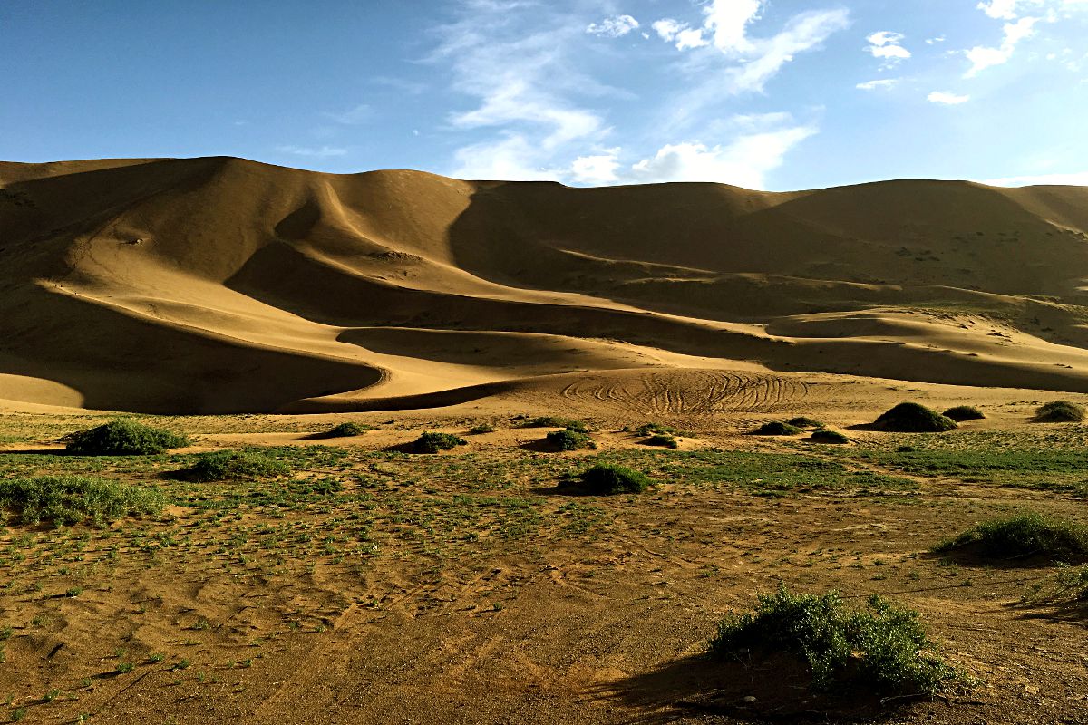 Das ist die mongolische Sanddüne, die wir erklommen haben. (Foto: ruti)