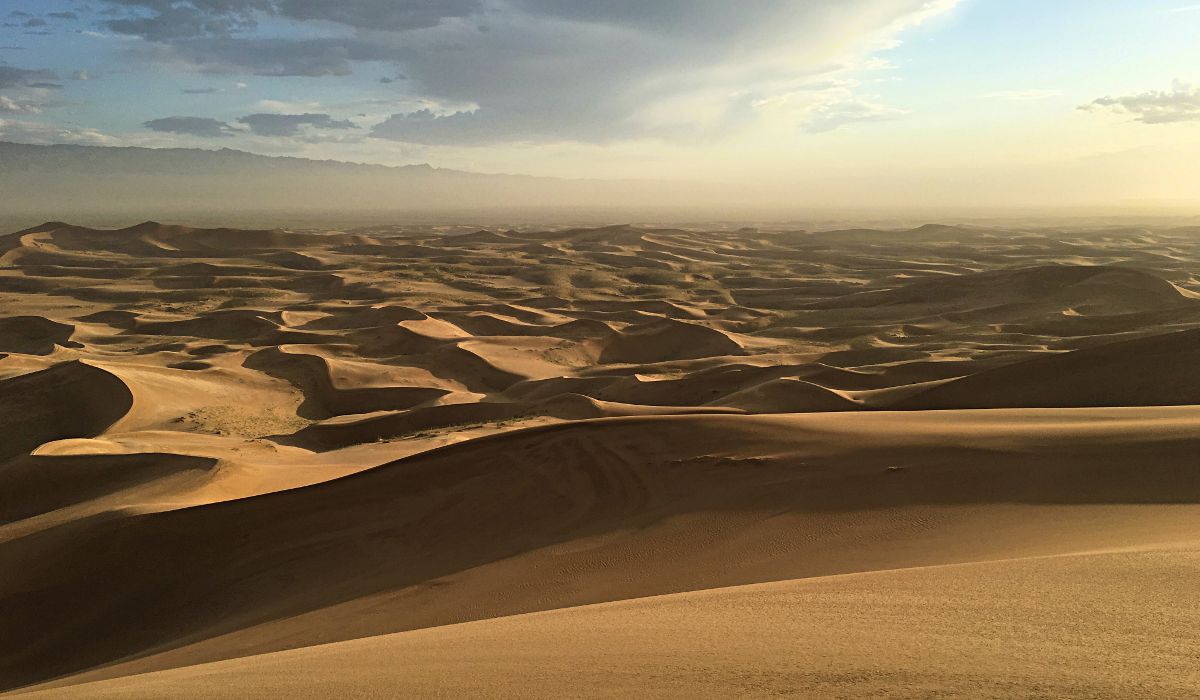 Da liegt sie vor uns, die Wüste Gobi. (Foto: ruti)