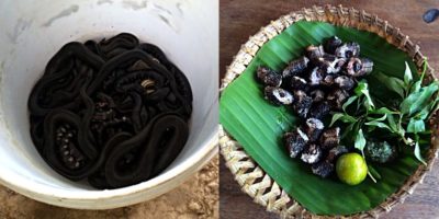 Schlange vorher und nachher - links noch lebende Exemplare im Eimer, rechts gegrillt und zerkleinert. (Foto: Ruti)