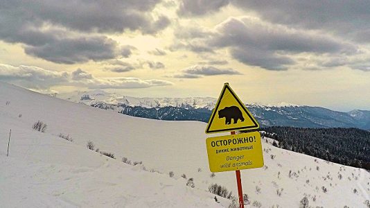 Auf der Piste in Sotschi werden auch Klischees erfüllt. Ob wirklich manchmal Bären Skifahrer attackieren? (Foto: Ruti)