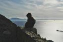 Der Affenfelsen von Gibraltar und im Hintergrund Afrika (Foto: Ruti)