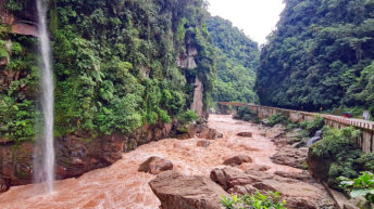 Der Weg nach Pucallupa ist Jumanji-mäßig. (Foto: Ruti)