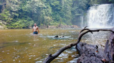 Im brasilianischen Amazonas gibt es unzählige zum Teil auch noch unkartographierte Wasserfälle. (Foto: Ruti)
