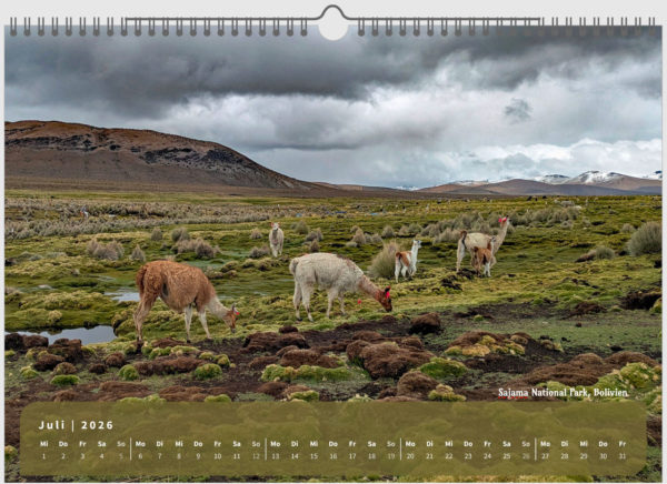 RutisReisen Kalender 2026 - Juli