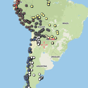 9 in 1 Bundle auf dem Handy